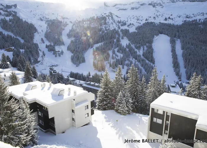 Nid Douillet De Flaine